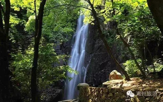 缤纷水果茶无敌版